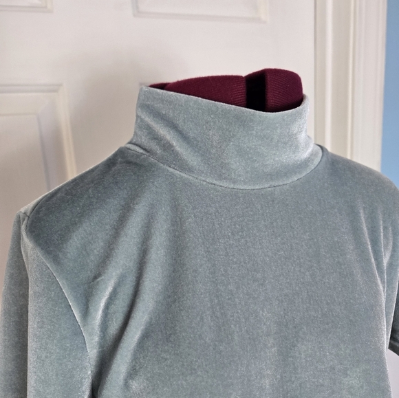 Madewell Small Seafoam Green Velvet Turtleneck Short Sleeve Top - Picture 3 of 12
